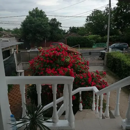 Casa De Vacanta Adi Гостевой дом