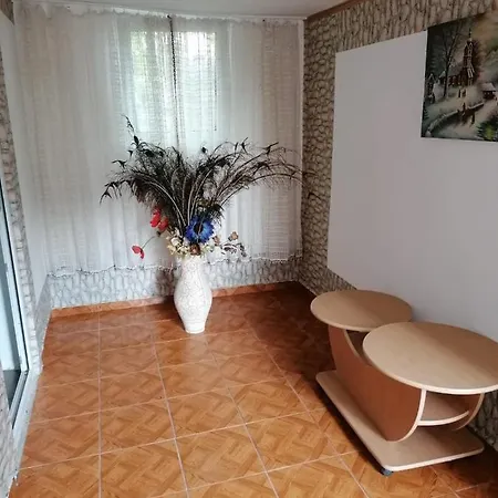 Casa De Vacanta Adi *