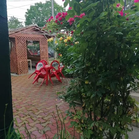Гостевой дом Casa De Vacanta Adi