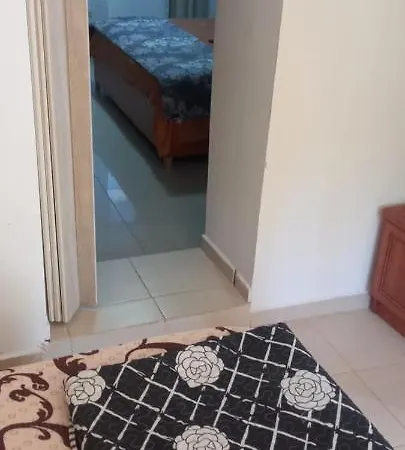 Pensiune Casa De Vacanta Adi 2 Mai