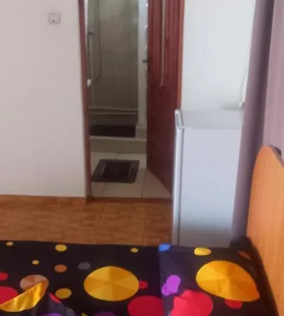 Casa De Vacanta Adi Guest house *