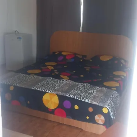 Casa De Vacanta Adi Guest house *